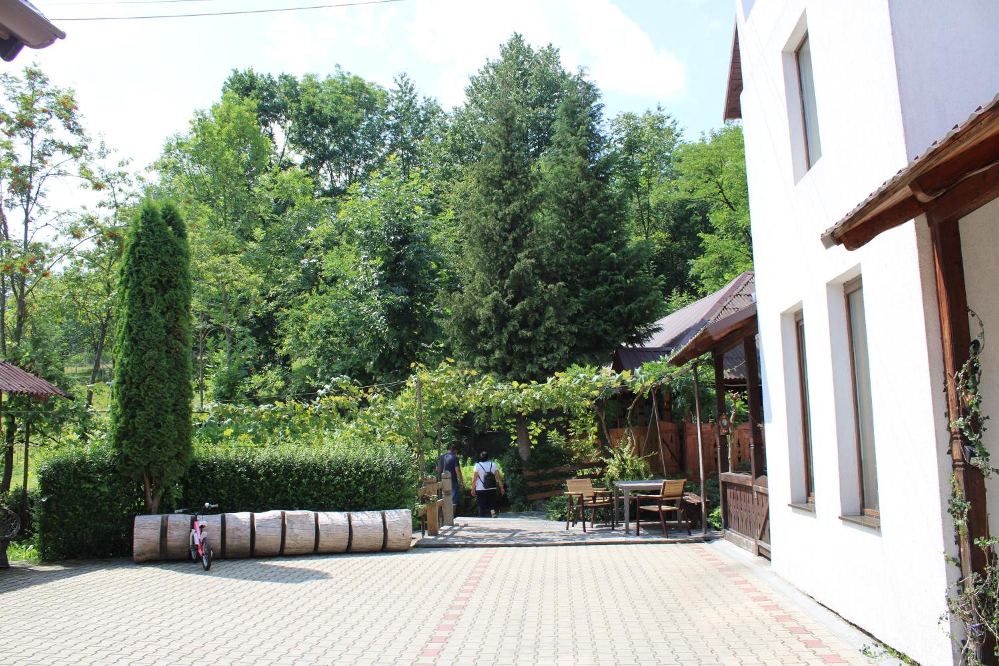 Hotel Complex Pastravul Sapanta Săpînţa Exterior foto