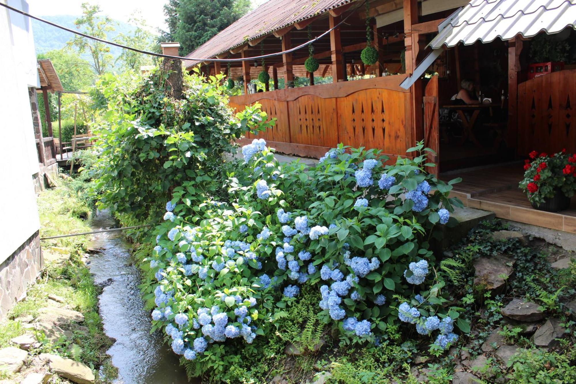 Hotel Complex Pastravul Sapanta Săpînţa Exterior foto